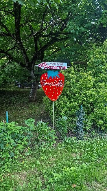 Клубника В розницу at lalafo.kg Клубника В розницу