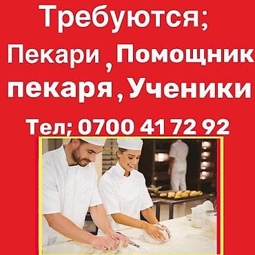 В кондитерскую фабрику «Империя Вкуса» требуются; пекари,помощники at lalafo.kg В кондитерскую фабрику «Империя Вкуса» требуются; пекари,помощники