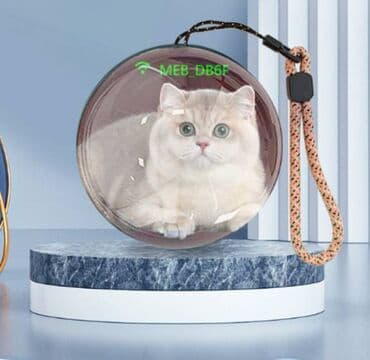 Портативный Wi-Fi шар для фото в реальном времени Портативный at lalafo.kg Портативный Wi-Fi шар для фото в реальном времени Портативный