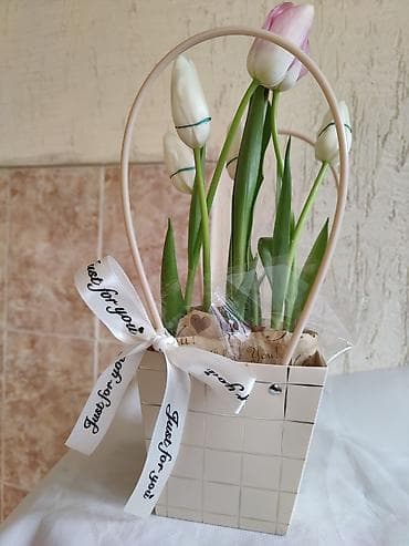 Тюльпаны — в разнообразной палитре: - однотонные: жёлтые, белые at lalafo.kg Тюльпаны — в разнообразной палитре: - однотонные: жёлтые, белые