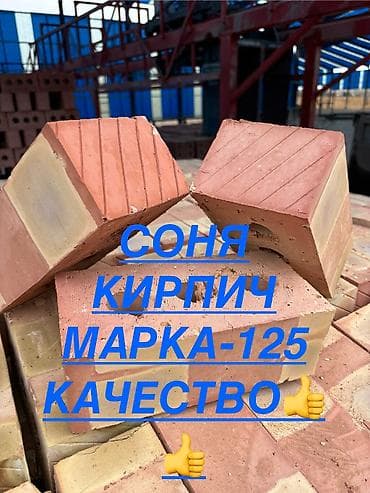 Пустотелый, дырчатый, Жженый кирпич, Полублок, 250×120×90 at lalafo.kg Пустотелый, дырчатый, Жженый кирпич, Полублок, 250×120×90