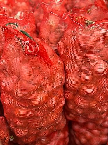 Лук В розницу at lalafo.kg Лук В розницу