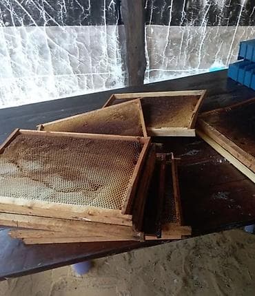 Продам суш на рамке рута Все в подряд по 100 сом Светлее дорожеш at lalafo.kg Продам суш на рамке рута Все в подряд по 100 сом Светлее дорожеш