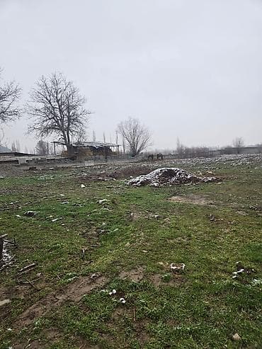 20 соток, Для строительства, Красная книга at lalafo.kg — 9 20 соток, Для строительства, Красная книга — 9