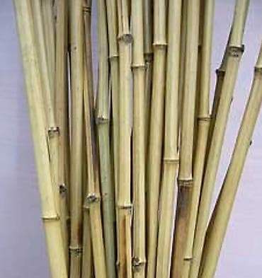 Декор для дома и сада.Натуральные бамбуковые стебли для декора и at lalafo.kg Декор для дома и сада.Натуральные бамбуковые стебли для декора и