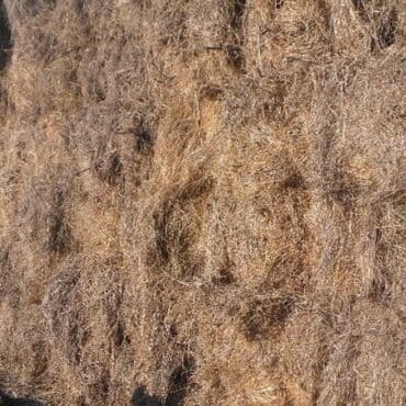 Продаётся прелая солома для стройки по 150 сом at lalafo.kg Продаётся прелая солома для стройки по 150 сом