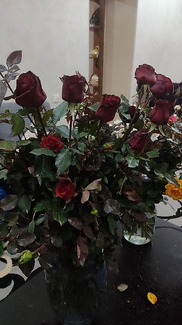 Бонбоньеркалар: Услуги садовника,уборка территории,с современной техникой,косим lalafo.kg да — 4 Бонбоньеркалар: Услуги садовника,уборка территории,с современной техникой,косим — 4