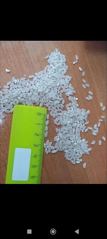 Рис Краснодар шлифованный первый сорт Крупа рисовая, ГОСТ, 1 сорт, 4 at lalafo.kg Рис Краснодар шлифованный первый сорт Крупа рисовая, ГОСТ, 1 сорт, 4