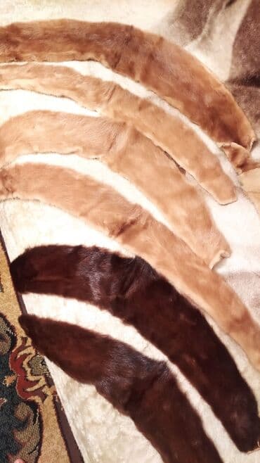 Продаю шкурки норки и каракуля. Цена договорная. Район Таатана at lalafo.kg Продаю шкурки норки и каракуля. Цена договорная. Район Таатана