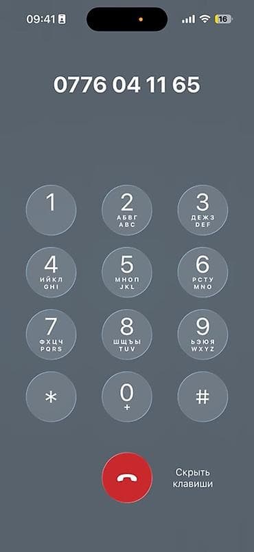 5000 соток, Для бизнеса, Красная книга at lalafo.kg — 5 5000 соток, Для бизнеса, Красная книга — 5