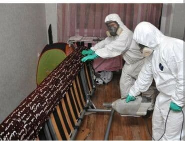 уничтожение клоп блох: Дезинфекция, дезинсекция, | Клопы, Блохи, Тараканы, | Транспорт, Офисы, Квартиры at lalafo.kg — 4 уничтожение клоп блох: Дезинфекция, дезинсекция, | Клопы, Блохи, Тараканы, | Транспорт, Офисы, Квартиры — 4