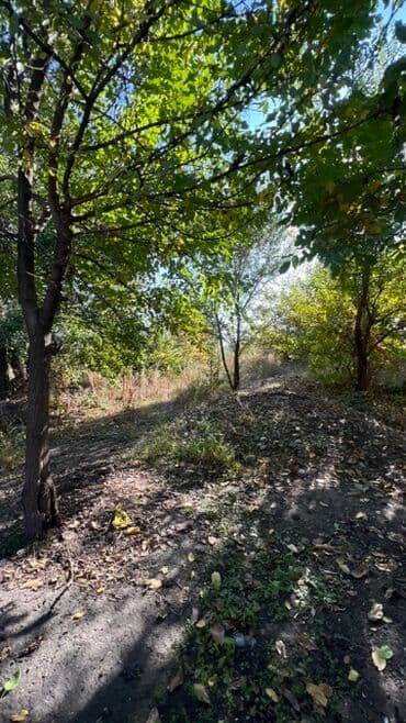 22 соток, Для бизнеса, Красная книга, Договор купли-продажи at lalafo.kg 22 соток, Для бизнеса, Красная книга, Договор купли-продажи