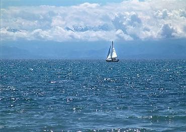 8 соток, Для бизнеса, Красная книга at lalafo.kg 8 соток, Для бизнеса, Красная книга