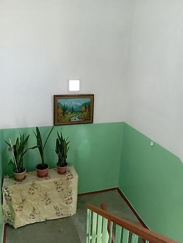 Водолазкалар: Дубалдарды сырдоо, Шыптарды сырдоо, Терезелерди сырдоо, Майдын негизинде, Суунун негизинде, 6 жылдан ашык тажрыйба lalafo.kg да — 7 Водолазкалар: Дубалдарды сырдоо, Шыптарды сырдоо, Терезелерди сырдоо, Майдын негизинде, Суунун негизинде, 6 жылдан ашык тажрыйба — 7