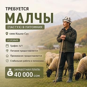 Требуется Пастух, Оплата: Ежемесячно, Питание at lalafo.kg Требуется Пастух, Оплата: Ежемесячно, Питание