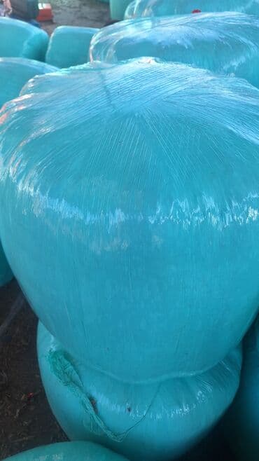 Силос высшый сорт с зернами до 30% брикетах свежый 2025 год с at lalafo.kg Силос высшый сорт с зернами до 30% брикетах свежый 2025 год с