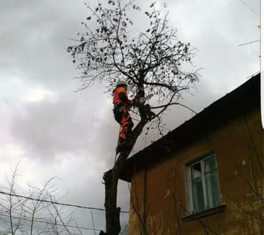 Снос аварийных деревьев, опытная команда. Снос, обрезка, повал at lalafo.kg Снос аварийных деревьев, опытная команда. Снос, обрезка, повал