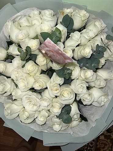 Сегодня утром получила, цена1900 ещё договоримся at lalafo.kg Сегодня утром получила, цена1900 ещё договоримся