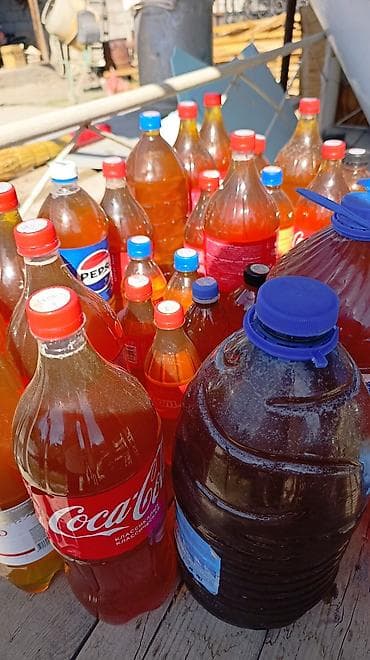 Таза тоо балы. 🍯 Табигый домашний бал сатылат Өзүбүздүн аарыдан at lalafo.kg Таза тоо балы. 🍯 Табигый домашний бал сатылат Өзүбүздүн аарыдан