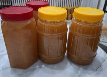 Токтогульский горный мёд, 100% натуральный оптом и в розницу по 600 at lalafo.kg Токтогульский горный мёд, 100% натуральный оптом и в розницу по 600