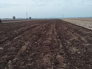 TagAZ: Продаётся хорошая поливная земля в городе карабалта возле at lalafo.kg — 4 TagAZ: Продаётся хорошая поливная земля в городе карабалта возле — 4