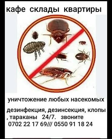 Профессиональная дезинсекция и уничтожение насекомых - Полный at lalafo.kg Профессиональная дезинсекция и уничтожение насекомых - Полный