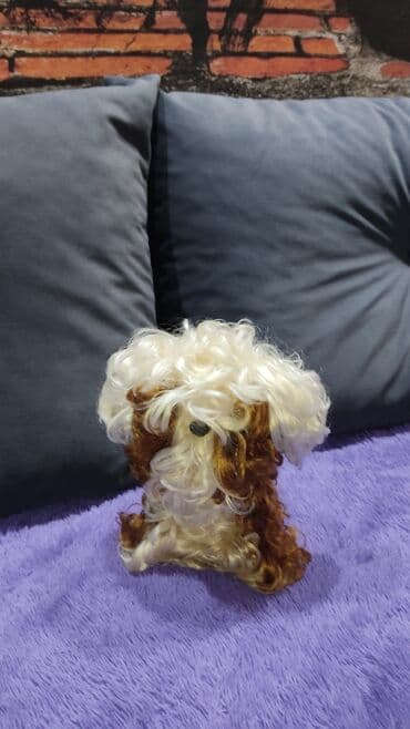 1)Советская игрушка СССР винтаж
2)Белочка -пищалка- 550с at lalafo.kg 1)Советская игрушка СССР винтаж
2)Белочка -пищалка- 550с