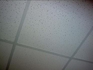 игольчатый валик для гипсокартона: Подвесной потолок армстронг Армстронг водостойкий 60х60 at lalafo.kg — 5 игольчатый валик для гипсокартона: Подвесной потолок армстронг Армстронг водостойкий 60х60 — 5