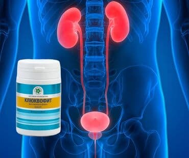 Здоровье мочеполовой системы Klukvofit Обеспечивает бактерицидное at lalafo.kg Здоровье мочеполовой системы Klukvofit Обеспечивает бактерицидное