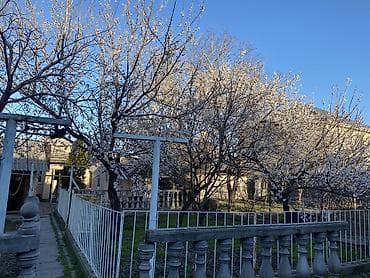 Продажа дома в Кызыл Аскере. 99 м², 6 соток. Газ, свет, вода, 3 вида at lalafo.kg Продажа дома в Кызыл Аскере. 99 м², 6 соток. Газ, свет, вода, 3 вида