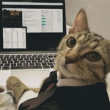 Нужна помощь с сайтом или соцсетями? Я возьму рутину на себя! at lalafo.kg Нужна помощь с сайтом или соцсетями? Я возьму рутину на себя!