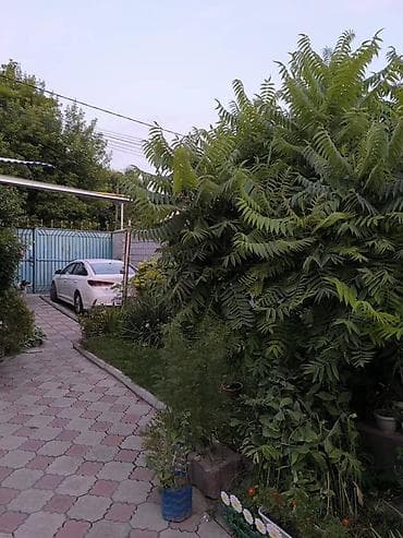 Продажа полдома: СРОЧНО продается дом, реальному покупателю есть торг! Общая площадь at lalafo.kg — 8 Продажа полдома: СРОЧНО продается дом, реальному покупателю есть торг! Общая площадь — 8