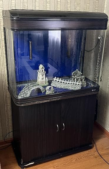 Продаю аквариум б/у at lalafo.kg Продаю аквариум б/у