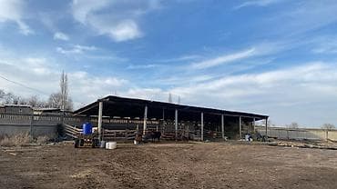 КРС МРСферма инфраструктурой - Крытые капитальные загоны и навесы на lalafo.kg да — 1 КРС МРСферма инфраструктурой - Крытые капитальные загоны и навесы на — 1