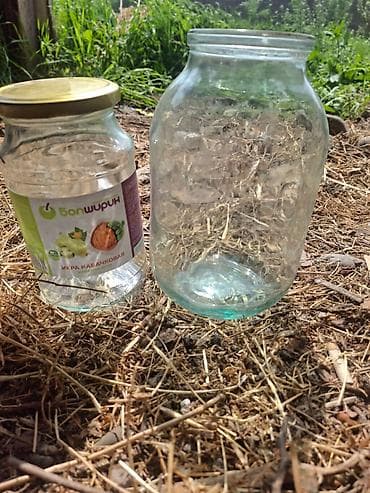 Банки at lalafo.kg Банки