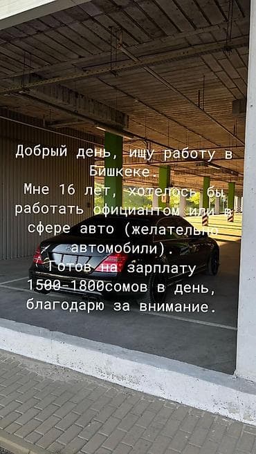 Официант. 1-2-жылдык тажрыйба lalafo.kg да Официант. 1-2-жылдык тажрыйба