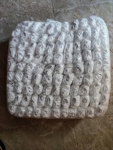 Лосиналар, леггинсылар: Одноразовые бикини для процедур массаж • spa • баня 📦 опт и розница 💰 lalafo.kg да — 2 Лосиналар, леггинсылар: Одноразовые бикини для процедур массаж • spa • баня 📦 опт и розница 💰 — 2