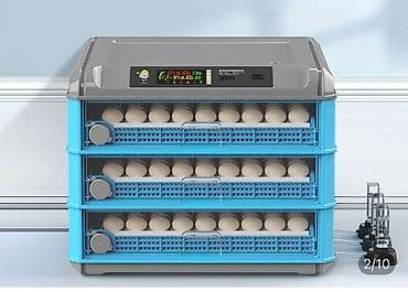 Инкубатор полная автоматика. 192 яиц 16000,168яиц 15000 126 яиц at lalafo.kg Инкубатор полная автоматика. 192 яиц 16000,168яиц 15000 126 яиц