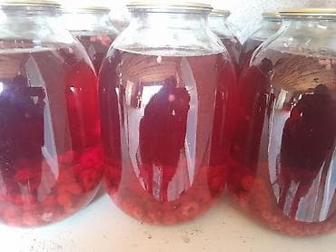 Иссык-Куль 2026 at lalafo.kg Иссык-Куль 2026