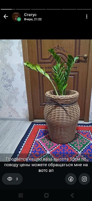 Кашпо-ваза из плетённого ротанга. Характеристики: - Высота: 55 см at lalafo.kg Кашпо-ваза из плетённого ротанга. Характеристики: - Высота: 55 см