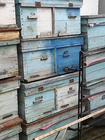 Продаётся автомобиль Honda Airwave (универсал). Основные особенности at lalafo.kg Продаётся автомобиль Honda Airwave (универсал). Основные особенности