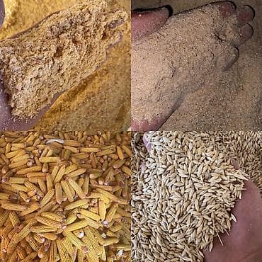 Продаю арпа жем ячмень дроблённый в мешках отруби кебек с погруской и at lalafo.kg Продаю арпа жем ячмень дроблённый в мешках отруби кебек с погруской и