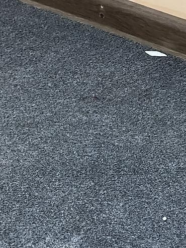 Килемдерди сатып алуу: Продаем ковролин! 3шт 3/4 1 шт 5/6 Частично требуется хим чистка По lalafo.kg да — 1 Килемдерди сатып алуу: Продаем ковролин! 3шт 3/4 1 шт 5/6 Частично требуется хим чистка По — 1