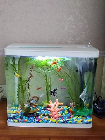 Аквариумный комплект с крышкой и освещением, заводской. - at lalafo.kg Аквариумный комплект с крышкой и освещением, заводской. -