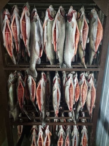 Замороженный at lalafo.kg Замороженный