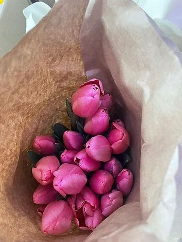 Бонбоньерки: Тюльпаны в крафт-упаковке - Срезанные тюльпаны с плотным бутоном at lalafo.kg — 5 Бонбоньерки: Тюльпаны в крафт-упаковке - Срезанные тюльпаны с плотным бутоном — 5