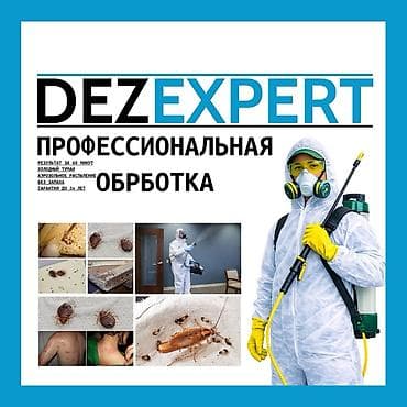 Дезинфекциялоо, дезинсекциялоо, | Таракандар, | Батирлер lalafo.kg да Дезинфекциялоо, дезинсекциялоо, | Таракандар, | Батирлер