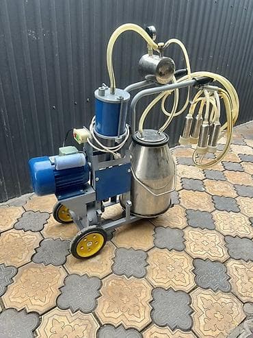 Продаю доильный аппарат в идеальном состоянии at lalafo.kg Продаю доильный аппарат в идеальном состоянии