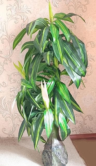 Искусственная пальмавысота 110см at lalafo.kg Искусственная пальмавысота 110см