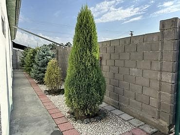 Продажа дач: Жилой дом с благоустроенным участком и навесом для авто 🏡 Продается at lalafo.kg — 2 Продажа дач: Жилой дом с благоустроенным участком и навесом для авто 🏡 Продается — 2